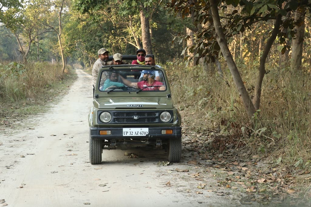 jungle safari in kishanpur & Dudhwa