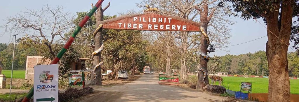 pilibhit tiger reserve entry gate for forest