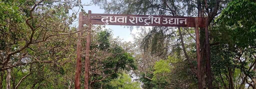 Dudhwa National Park