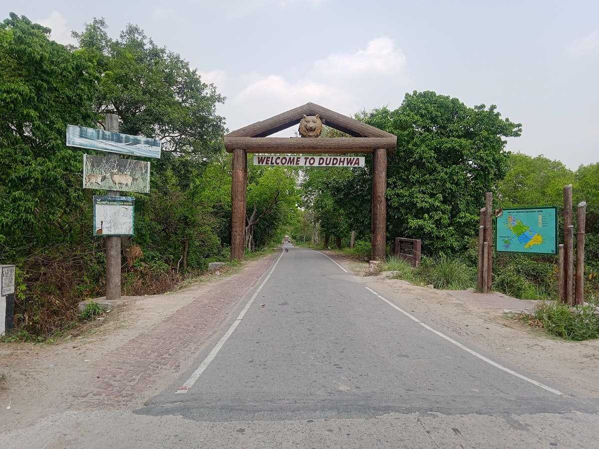Dudhwa & Pilibhit Tiger Reserve to Welcome Tourists from 1 November 2026