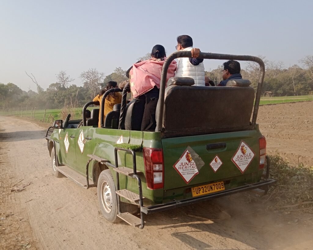 Safari and Wildlife Trips in Dudhwa
