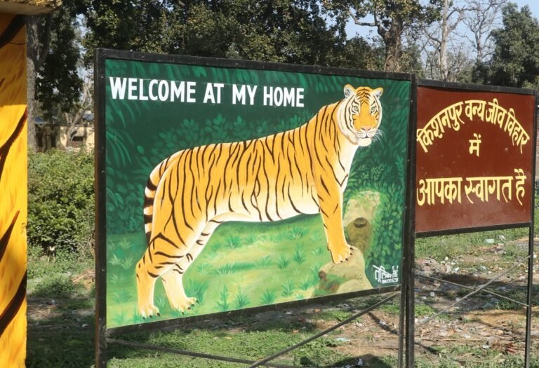 Staying close to Kishanpur Wildlife sanctuary