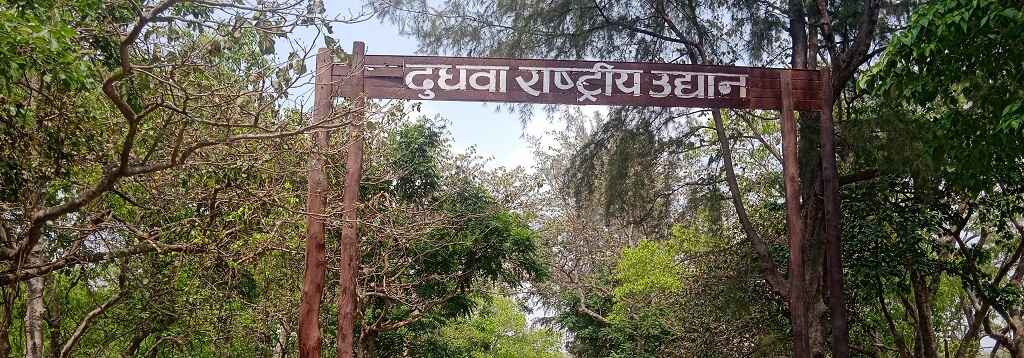 dudhwa national park prime location stay