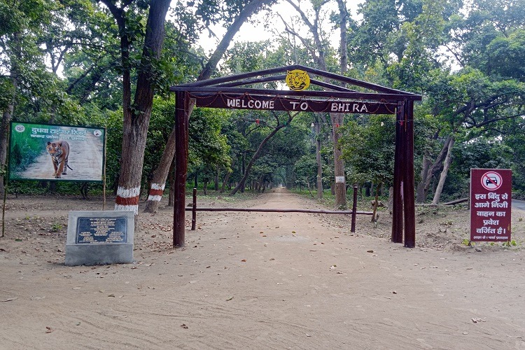 Padaria Beat Bhira Range